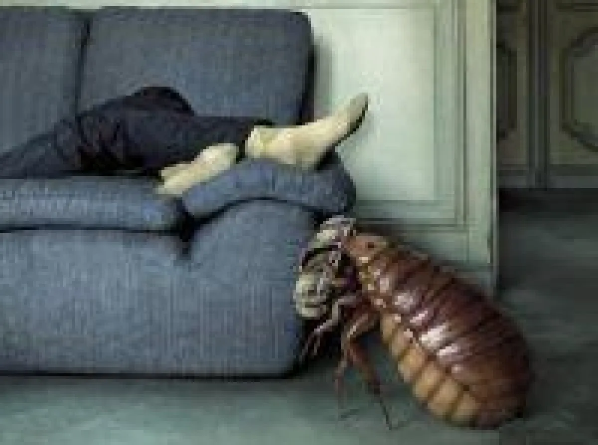 Schädlingsbekämpfung, Bettwanzen