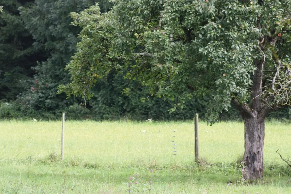 Der Weg zu einem selbstbestimmten und glücklichen Leben