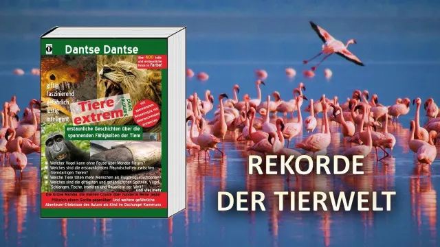 Bild: Eine Spannende Rekorde der Tierwelt - "Tiere Extrem" von Dantse Dantse (Buchvorstellung) - indayi edition