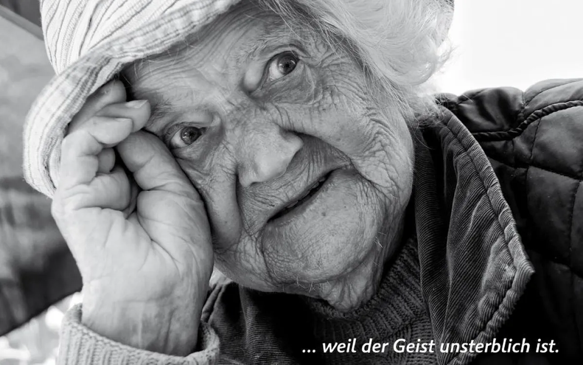 Steiners Ideen