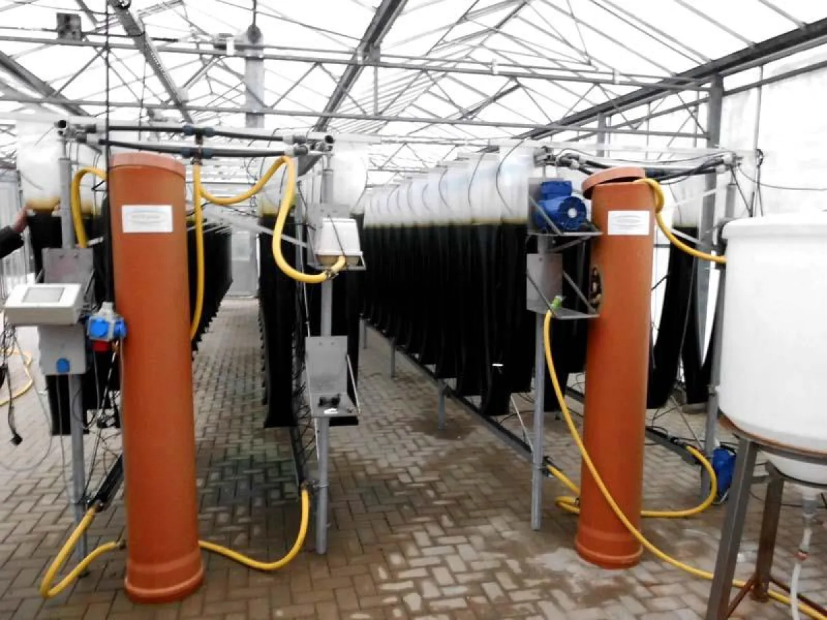 Reinalgenzuchtanlagen in Bassum in Niedersachsen