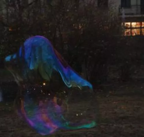 Bild: Valentinstag mit Sympathiepotenzial