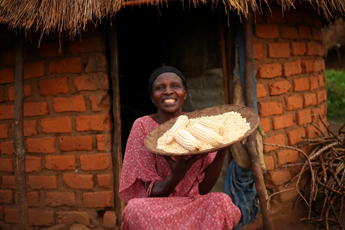 Stay Seed ermöglicht den Familien Wissen, eine reiche Ernte, Einkommen und Kindern den Schulbesuch (© LATEK Stay Alliance Uganda)