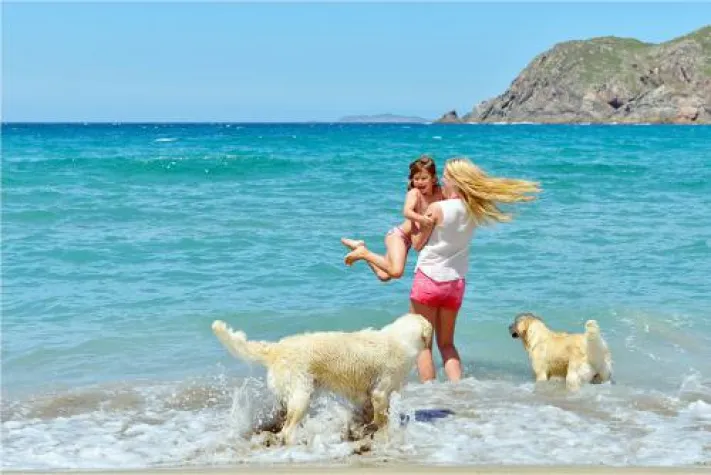 Bild: Hundeferien: Stadthunde.com gibt wichtige Tipps rund um den Urlaub mit Hund