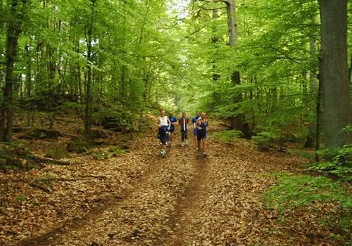 Bild: Den Pfälzerwald-Marathon im Team erleben - In der Staffel macht der Naturerlebnislauf allen großen Spaß