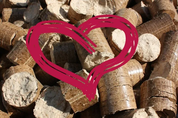 Natürlich heizen mit Holz Bild: Natürlich heizen mit Holz