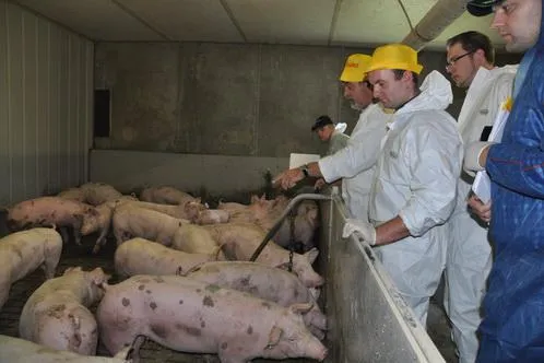 Antibiotikagebrauch in deutschen Tierhaltungen – VetCAB-Studie 07- 2013 veröffentlicht Bild: Antibiotikagebrauch in deutschen Tierhaltungen – VetCAB-Studie 07- 2013 veröffentlicht