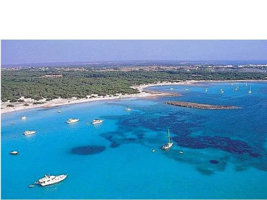 Bild: Gericht ordnet Abriss der Bauruinen an der Südküste von Mallorca an