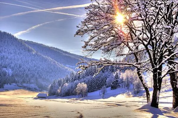 Bild: Interessengemeinschaft Ferienwohnungen Schwarzwald/Hotzenwald beschließt neues Portal für Lastminute Angebote.