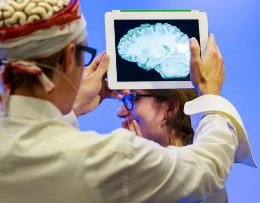 Bild: Geistesblitze, der Science Slam: bühnenreife Hirnforschung