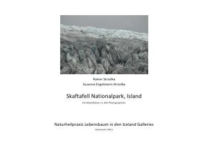 Bild: Meditative Bilder aus Island - Rainer Strzolka in Bölti, Skaftafell-Nationalparkt