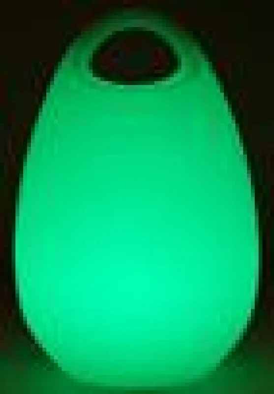 Die LED-Laterne von Comet International Corp. gewann den Best ECO Design Award. Foto: Hersteller