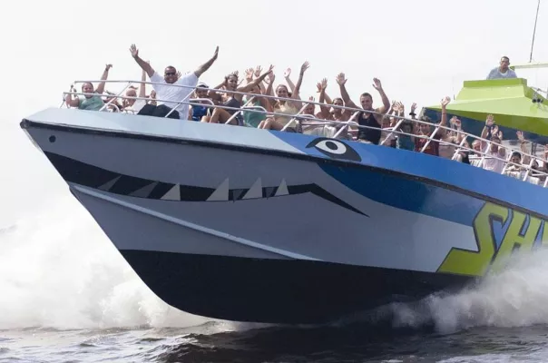 Bild: Bootstour mit Biss - Das Ausflugsboot SHARK umrundet pfeilschnell die Südspitze von Manhattan