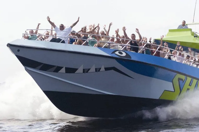 Bootstour mit Biss - Das Ausflugsboot SHARK umrundet pfeilschnell die Südspitze von Manhattan Bild: Bootstour mit Biss - Das Ausflugsboot SHARK umrundet pfeilschnell die Südspitze von Manhattan