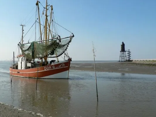 Bild: Dwarsloeper-Festival 2009 - Aktuelles Programmheft informiert über Veranstaltungen