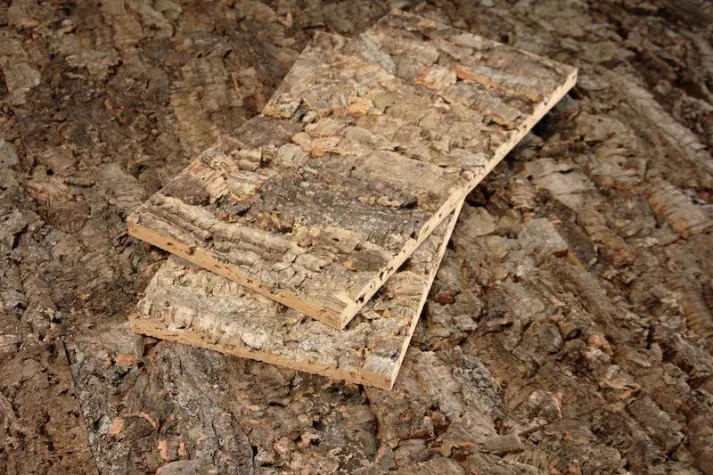 Bild: Korkbaumrinde: Neu erfunden als Wanddekoration