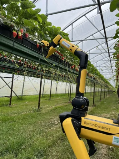 Bild: Fraunhofer-Initiative "Biogene Wertschöpfung und Smart Farming" auf der MeLa 2023