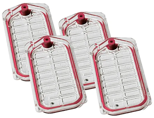 Mit kompetenten Partnern auf den asiatischen Markt Bild: Mit kompetenten Partnern auf den asiatischen Markt