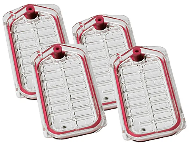 Bild: Mit kompetenten Partnern auf den asiatischen Markt