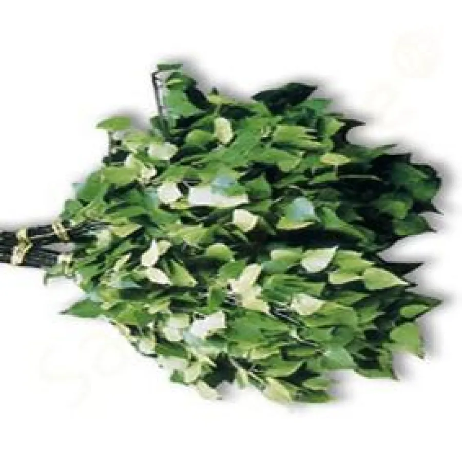 Neue Birkenquaste von FinTec Sauna- und Wellnesstechnik GmbH