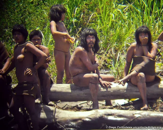 Bild: Peru: Illegale Holzfäller im Gebiet unkontaktierter Indianer festgenommen
