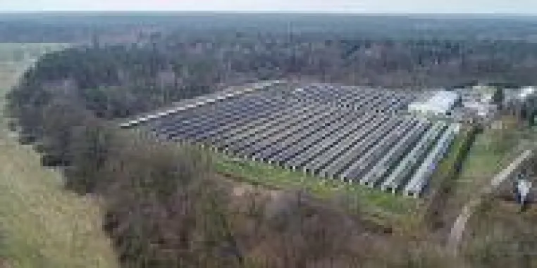 Bild: Erfolg: Letzte Nerzfarm Sachsen-Anhalts endlich geschlossen