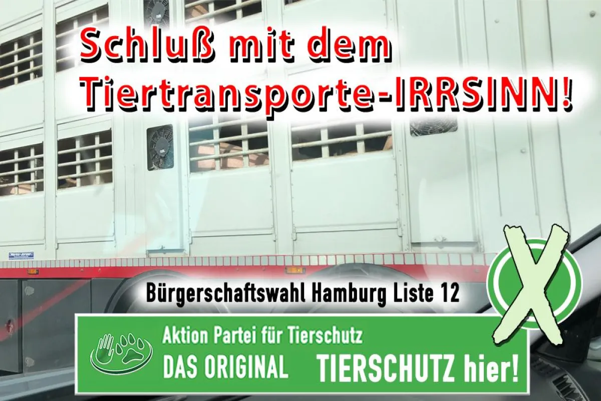 Tiertransporte-Irrsinn muss aufhören