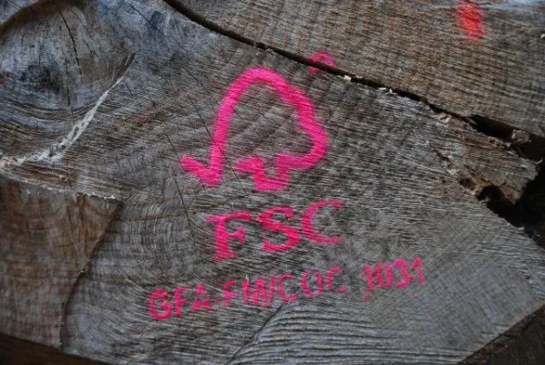 Bild: Marktanteil zertifizierter Forstprodukte steigt auf 50 Mill. Dollar - UN-Studie kritisiert Umweltperformance