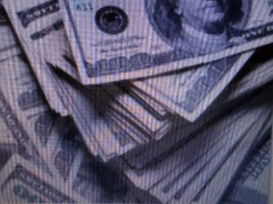 Anhaltende Kritik an Viola Kleinau (Präsidiumsmitglied im Bundesverband Deutscher Gartenfreunde e.V. und .... Bild: Anhaltende Kritik an Viola Kleinau (Präsidiumsmitglied im Bundesverband Deutscher Gartenfreunde e.V. und ....