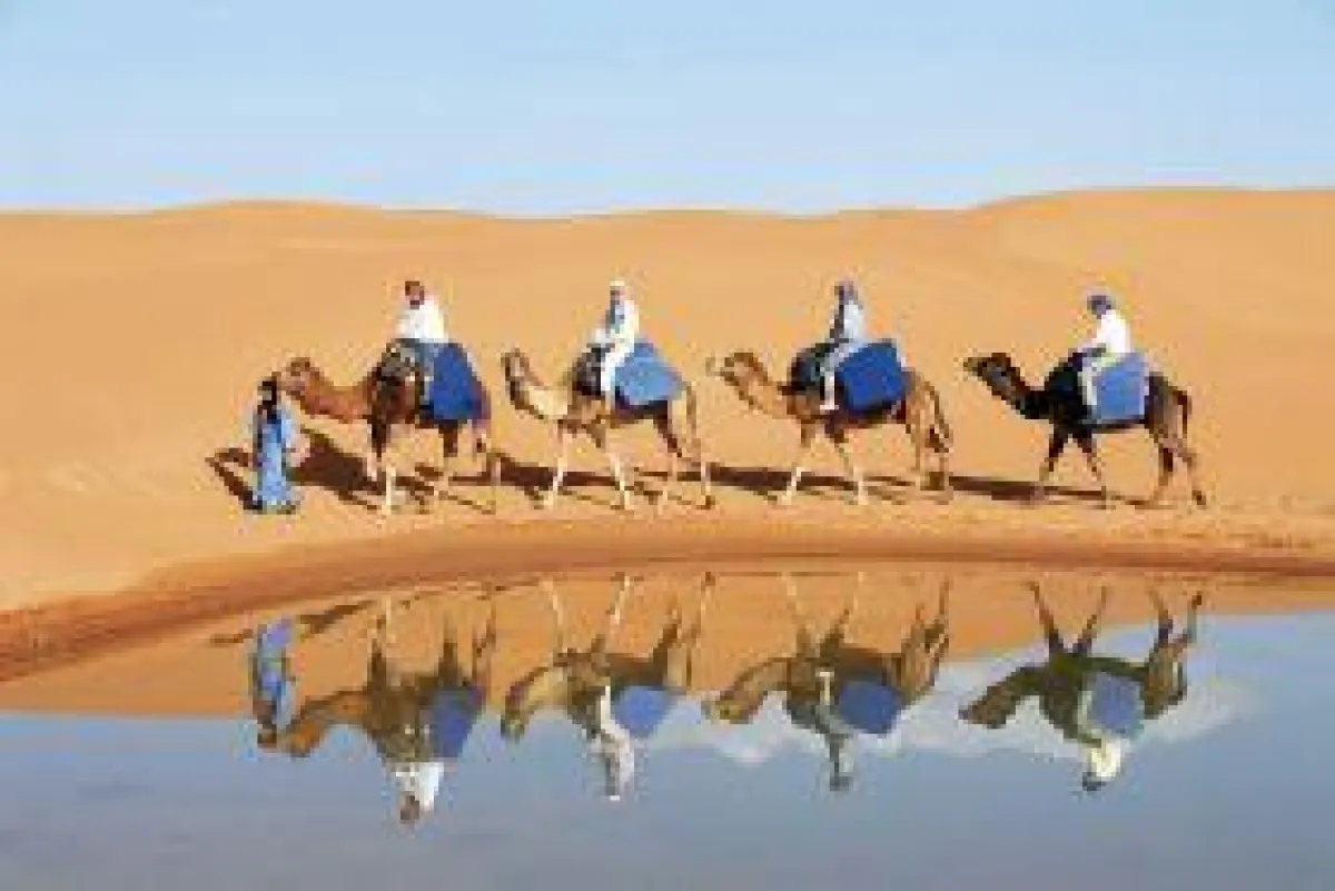 BU: Kameltrekking, Ägypten, Foto: Wikinger Reisen. Abdruck honorarfrei, bitte nur mit Quellenangabe. Foto senden wir gern in hoher