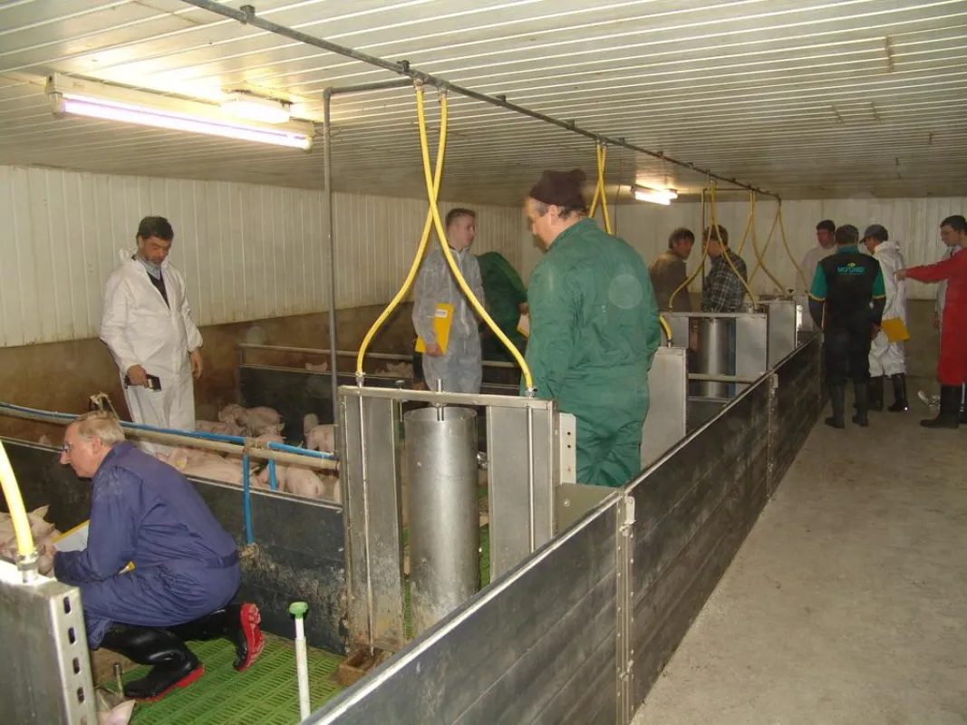 Die Arbeitsgruppe bei der Überprüfung der Stallungen in der Ferkelaufzucht