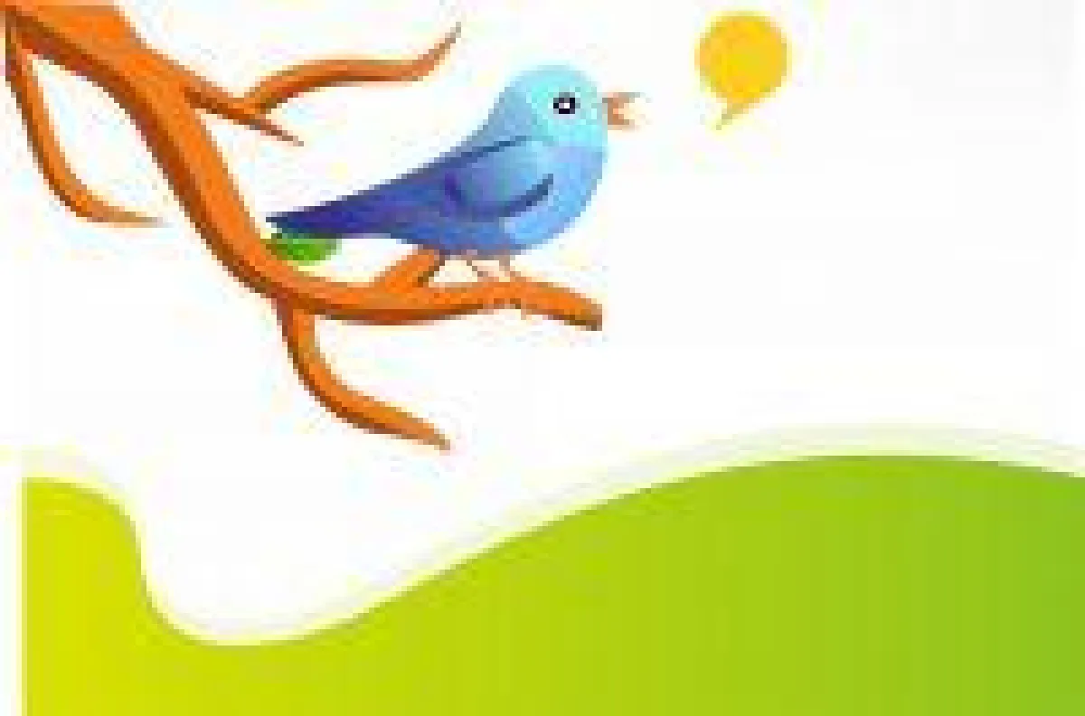 Twitter Marketing