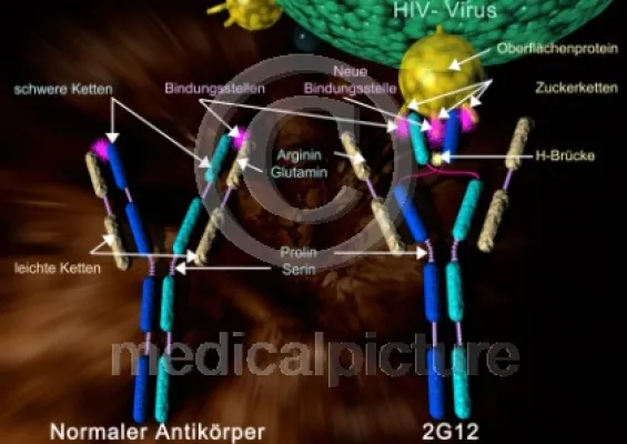 Bild: ... und es werde Licht im Bilderdschungel - die Bildersuche in Bilddatenbanken