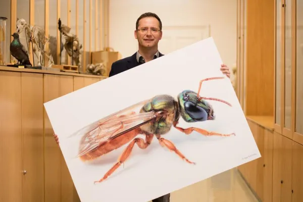 Bild: Mit den Augen der Biene: Zoologe der Uni Graz entwickelt Verfahren zur Verbesserung dunkler Bilder