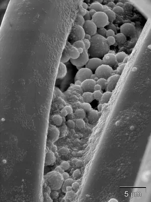 Bild: Das Etikett als Thermometer