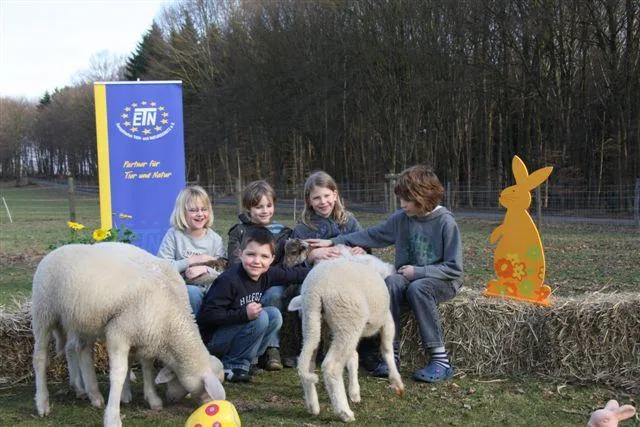 Bild: So mag ich mein Osterlamm - ETN appelliert: Keine Tierkinder im Ostermenü