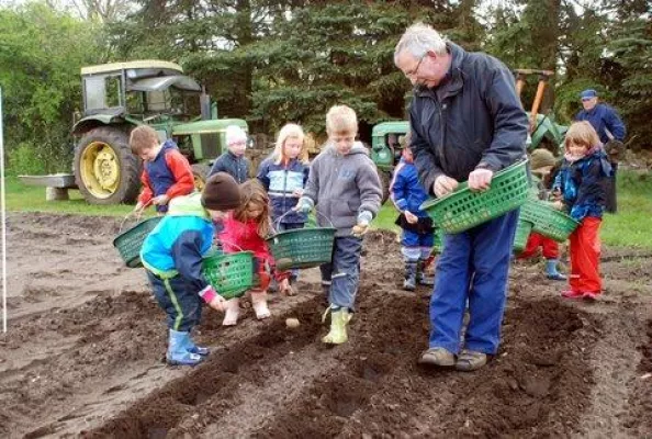 Bild: Kleine Nachwuchsbauern: Kindertagesstätte bepflanzt Kartoffelfeld von Landwirt bei Rotenburg / Wümme