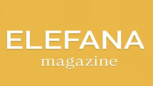 Bild: Elefana: Neues Online-Magazin erkundet gesellschaftlichen Wandel im digitalen Raum