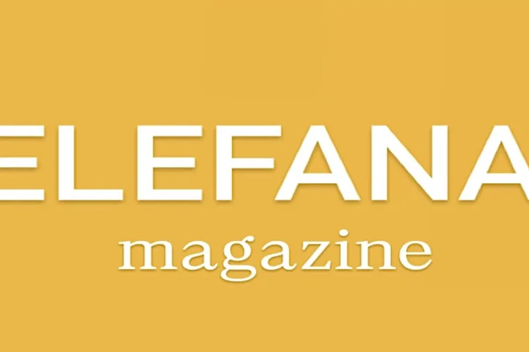 Bild: Elefana: Neues Online-Magazin erkundet gesellschaftlichen Wandel im digitalen Raum