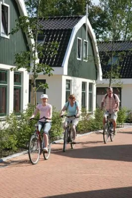 Hurra, die Belgier kommen: Niederländische Nordseeküste so beliebt wie nie Bild: Hurra, die Belgier kommen: Niederländische Nordseeküste so beliebt wie nie