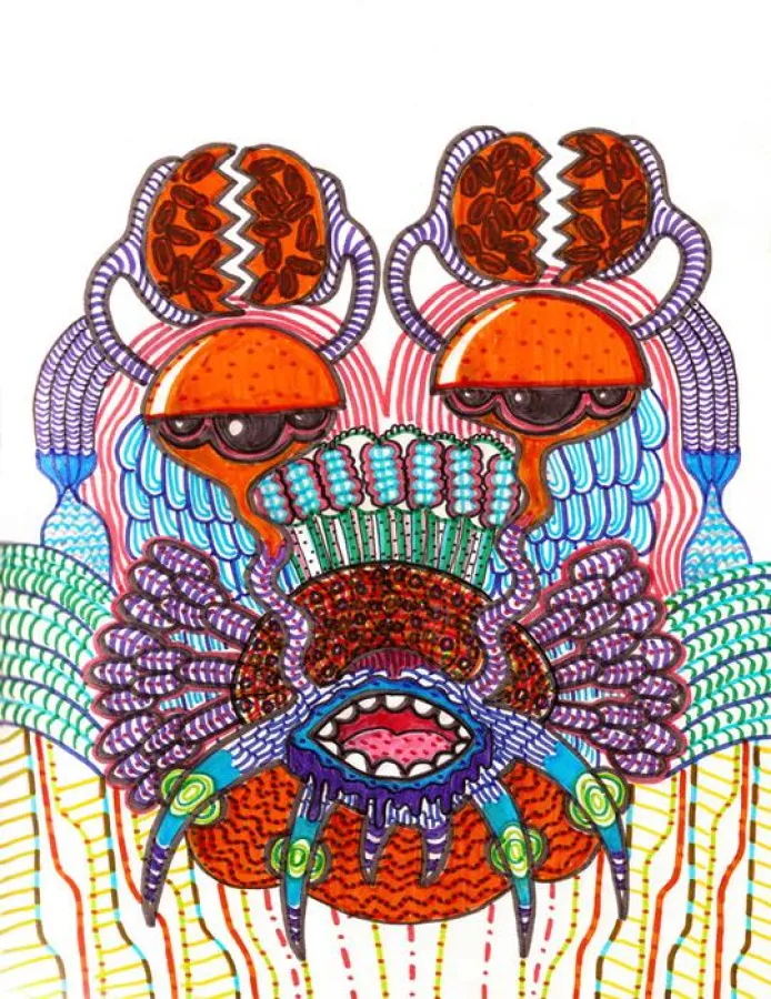 Krautpleaser 14 (2010, Filzstift auf Papier, 30 x 42 cm) von Kolbeinn Hugi