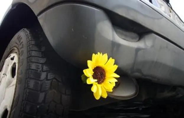 Autokäufer achten vermehrt auf Klimaschutz und Preis Bild: Autokäufer achten vermehrt auf Klimaschutz und Preis