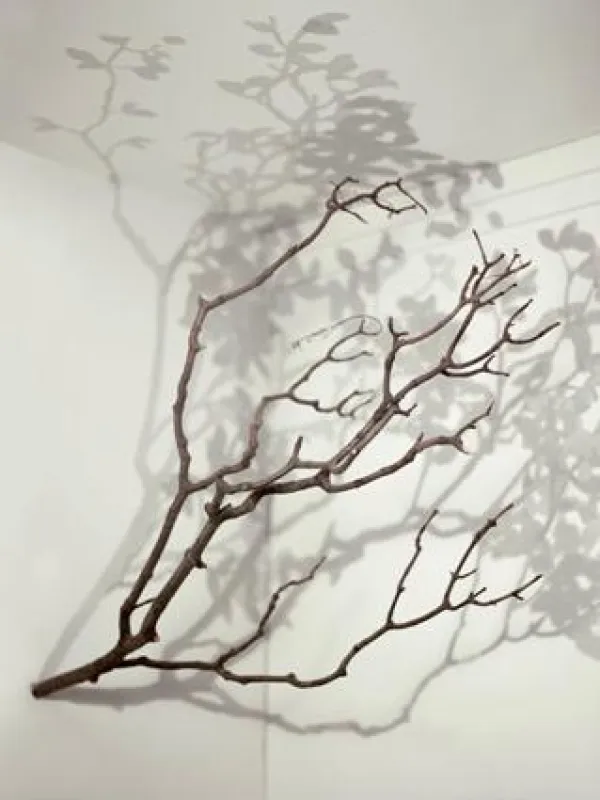Alessandro Lupi, Tree, mixed media, 2013