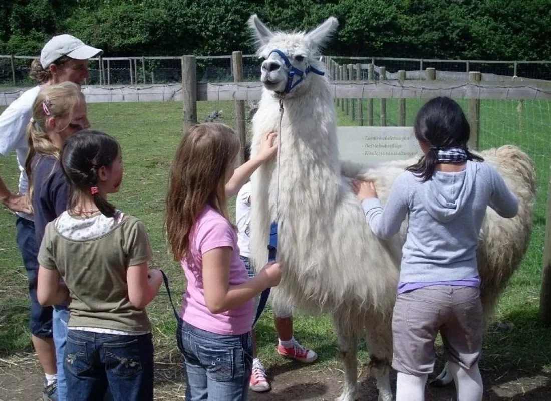 Ferien mit Lamas mitten im Ballungsraum Ruhrgebiet