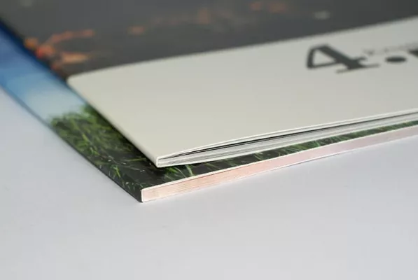 Bild: Softcover-Ausstattung neuer Trend beim Fotobuch