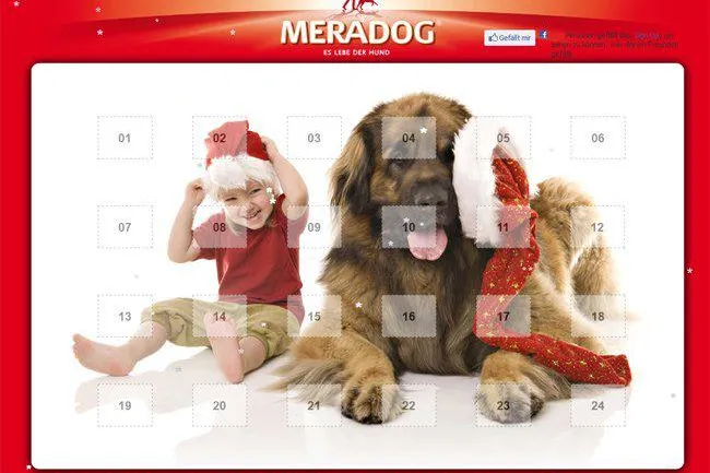Bild: Wieder viele Überraschungen und Gewinne im Meradog Online Adventskalender für Hundefreunde und Tierliebhaber
