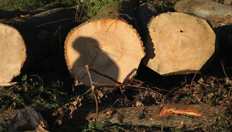 Ortenau PR – ein starkes Team Bild: Ortenau PR – ein starkes Team