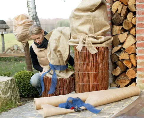 Bild: Fit für den Winter: Wie Balkonpflanzen Frost und Schnee überstehen