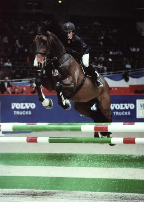 Bild: Großer Springsport in Fürth: Fürth wird 1000 Jahre alt – und der Reitsport feiert mit