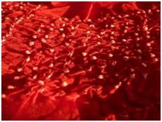 Bild: Bandhani-Seidenschals auf der Grassi-Messe Leipzig